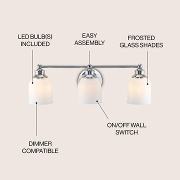 Lydia Iron/Frosted Glass Farmhouse Cottage LED Vanity Light